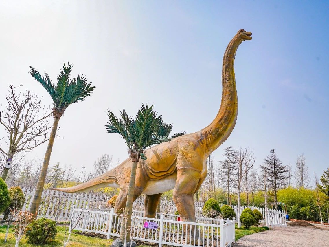 ΰ�ײ�����