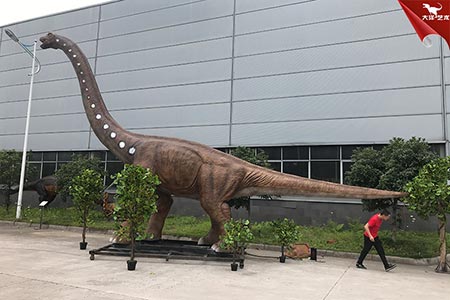 ����-���۴��ͷ������