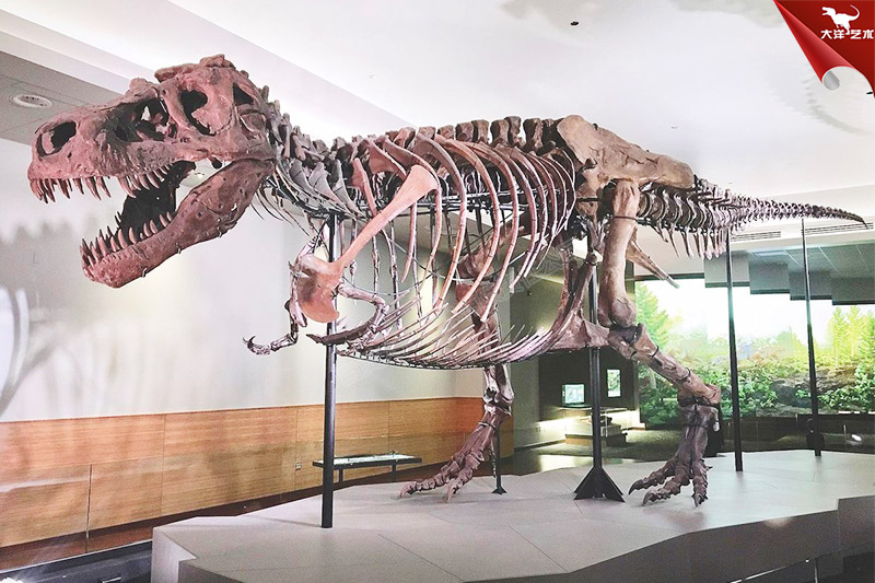 �����������Ǽ�