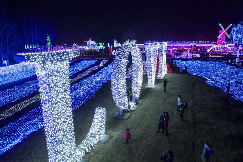 ���ղʵƶ���-������͹���-�����´�����