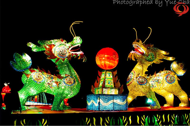 ����ʵ����������������������⻨��