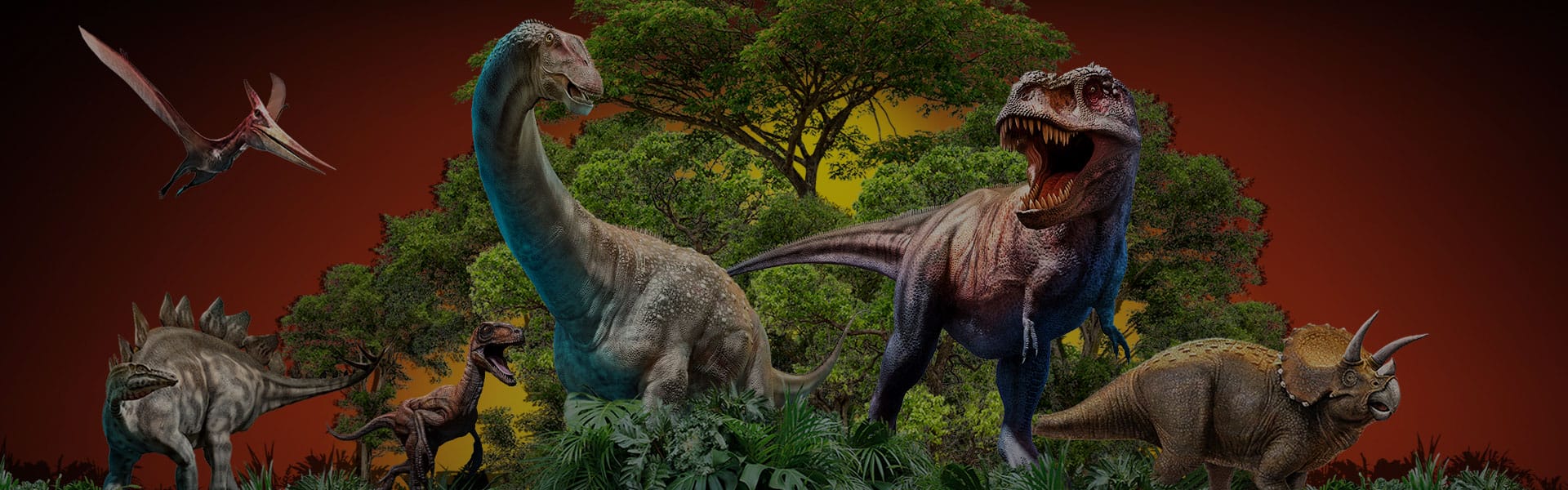 ���Ŷ���ģ��